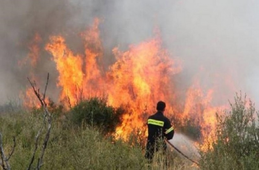 Πυρκαγιά στο Σούνιο - Δεν κινδυνεύουν κατοικίες