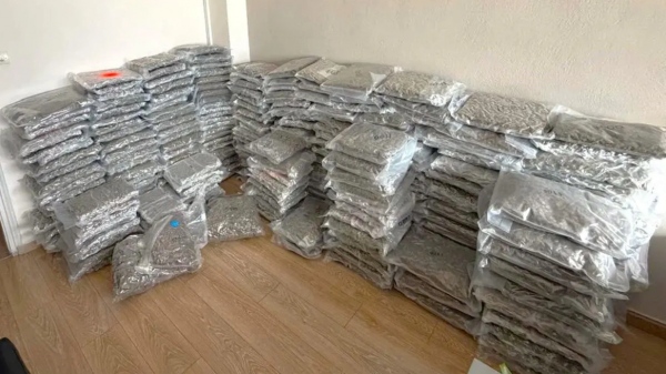 Μπλόκο της ΕΛΑΣ στην Ηγουμενίτσα σε 300 κιλά κάνναβης αξίας άνω των 1,2 εκατ. ευρώ
