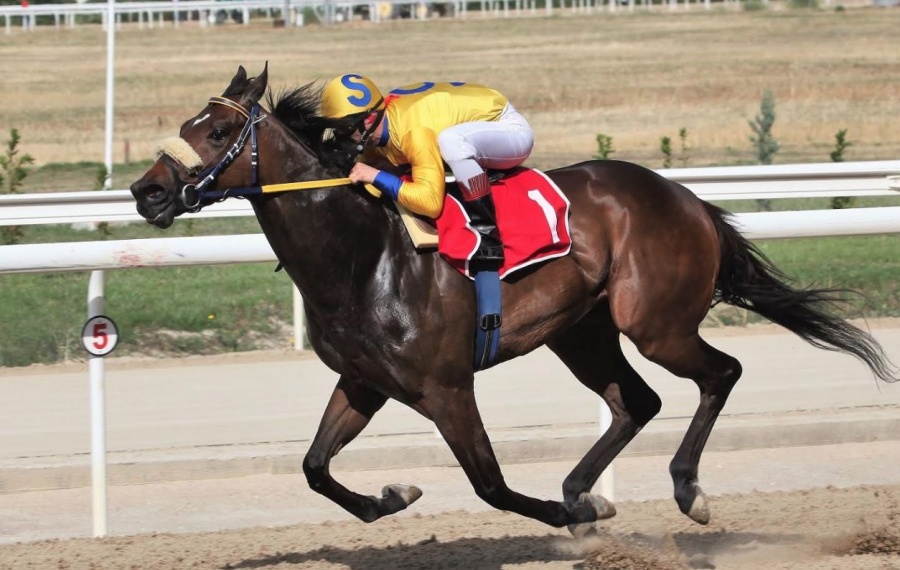 Οκτώ ιπποδρομίες σήμερα στον Ιππόδρομο Αθηνών