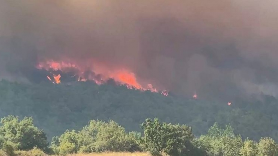 Παράταση στην υποβολή φορολογικών δηλώσεων και αναστολή οφειλών για τους πυρόπληκτους  του Έβρου - Η  απόφαση Θεοχάρη