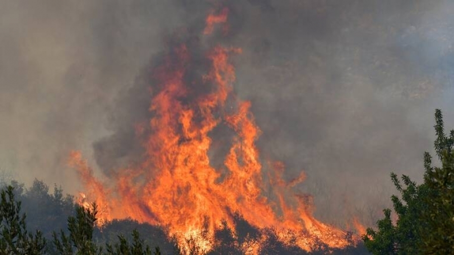 Ζάκυνθος: Μεγάλη πυρκαγιά στο χωριό Κοιλιωμένος