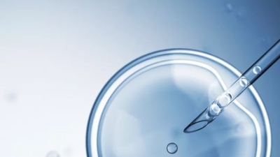 Διατήρηση της γονιμότητας με κρυοσυντήρηση ωαρίων για κοινωνικούς λόγους: Eπιλογή ή δικαίωμα;