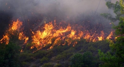 Υπό μερικό έλεγχο οι πυρκαγιές που ξέσπασαν σε Λακωνία και Αργολίδα