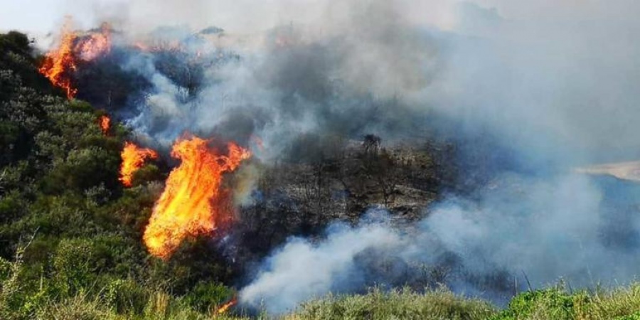 Σπάρτη: Φωτιά σε δασική έκταση στην Ανατολική Μάνη