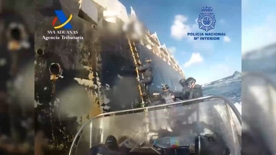 Σοκ: Αγελάδες κοκαΐνης - Νεκρά ζώα μαζί με ναρκωτικά μέσα σε πλοία γεμάτα δυσοσμία «φορτώνουν» τα καρτέλ του θανάτου