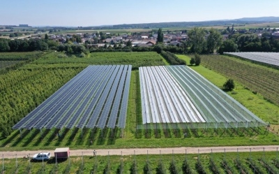 Τα αγροβολταϊκά επηρεάζουν την ποιότητα των κοντινών καλλιεργειών