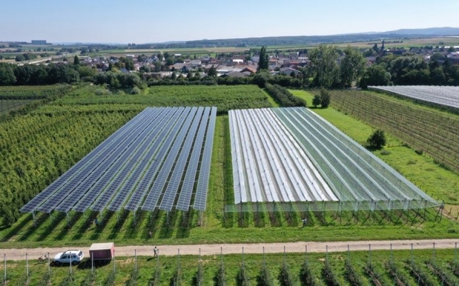 Τα αγροβολταϊκά επηρεάζουν την ποιότητα των κοντινών καλλιεργειών