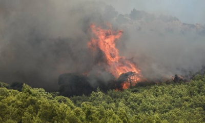 Ξέσπασε πυρκαγιά σε δασική έκταση στον Βαρνάβα Αττικής