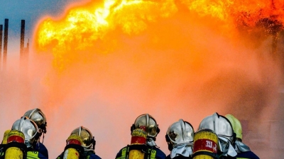 Πύρινα μέτωπα: Μάχη με τις φλόγες για 7η ημέρα στη Δαδιά Έβρου - Βελτιωμένη η εικόνα στη Μάνδρα, οριοθετήθηκε η φωτιά στο Χαϊδάρι