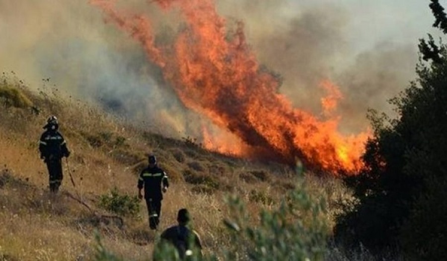 Σε εξέλιξη πυρκαγιά σε δασική έκταση στο Γύθειο - Μεγάλη κινητοποίηση της Πυροσβεστικής