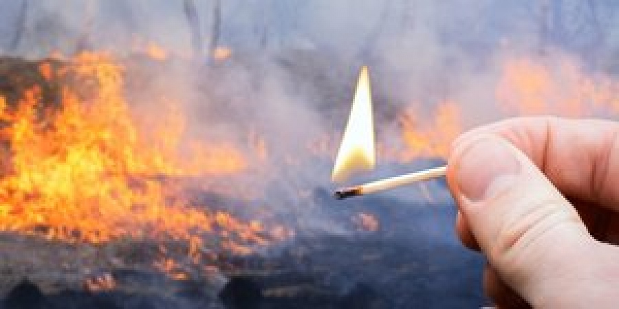 Συνελήφθη 73χρονος για εμπρησμό από πρόθεση στη Βοιωτία