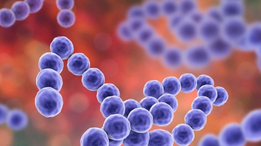 Ιωάννινα: Διήμερο λουκέτο σε δημοτικό σχολείο λόγω κρουσμάτων στρεπτόκοκκου