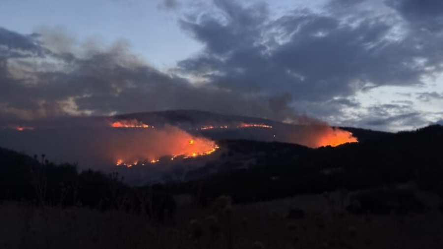 Σε πλήρη εξέλιξη η φωτιά στο Αμύγδαλο Τυρνάβου – Καίει σε δύσβατο σημείο