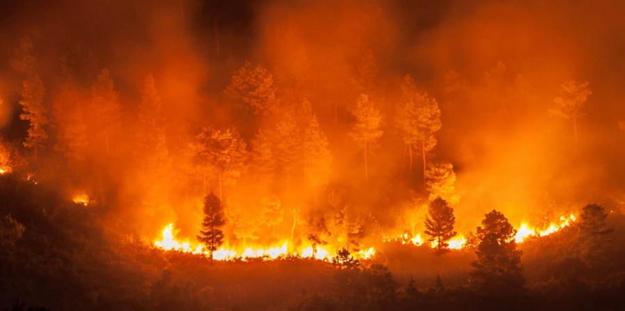 Η G7 αποδεσμεύει 20 εκατ. δολάρια για τις καταστροφικές πυρκαγιές στον Αμαζόνιο