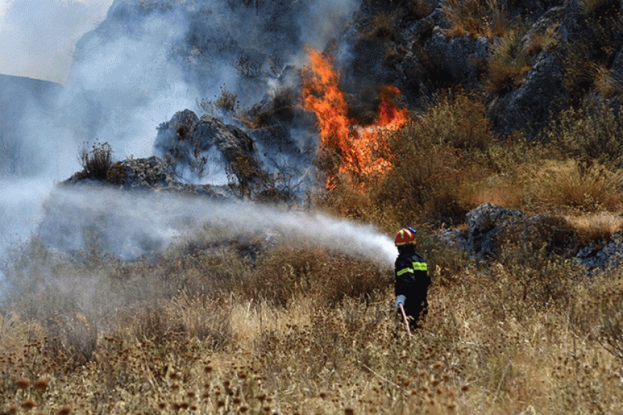 Υπό έλεγχο η πυρκαγιά στα Βασιλικά Σαλαμίνας