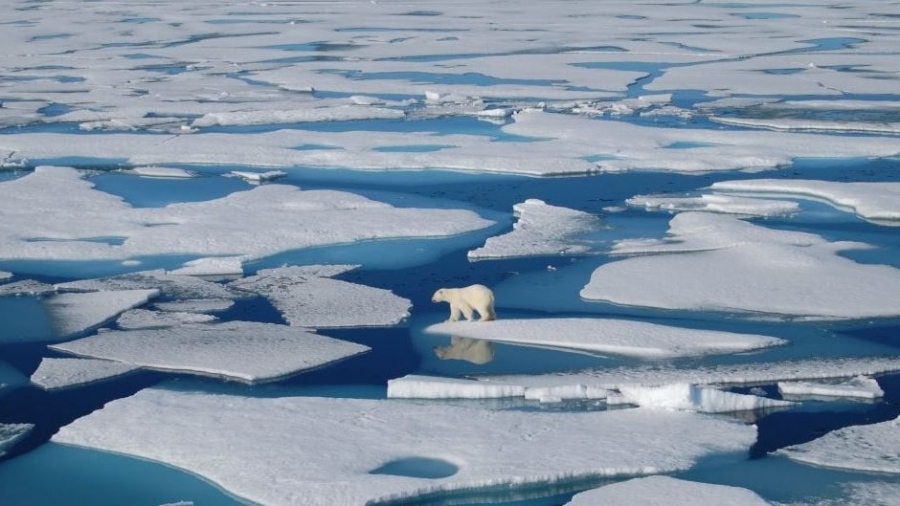 Η ζέστη είναι μόνο η αρχή - Ένας τρομακτικός μηχανισμός παγκόσμιας κλίμακας έχει ενεργοποιηθεί στην Αρκτική