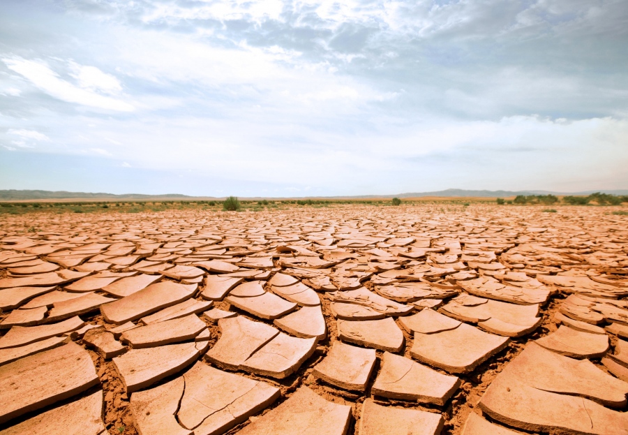 Προειδοποίηση από την «καρδιά» των ΗΠΑ: Ιστορική ξηρασία και έλλειψη λιπασμάτων απειλούν με μαζικές απώλειες καλλιεργειών