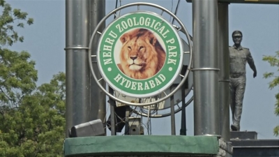 Θετικά στον κορωνοϊό και τα λιοντάρια σε ζωολογικό πάρκο της Ινδίας