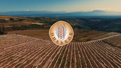 Βροχή παραιτήσεων για το σκάνδαλο του ΟΠΕΚΕΠΕ - Τέλος οι Βορίδης, Χατζηβασιλείου, Μπουκώρος, Σταμενίτης, Στρατάκος