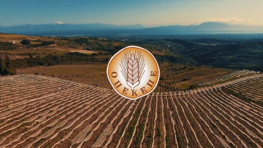 Βροχή παραιτήσεων για το σκάνδαλο του ΟΠΕΚΕΠΕ - Τέλος οι Βορίδης, Χατζηβασιλείου, Μπουκώρος, Σταμενίτης, Στρατάκος