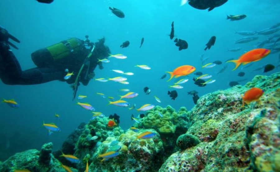 Τι προβλέπει το νομοσχέδιο για τον καταδυτικό τουρισμό