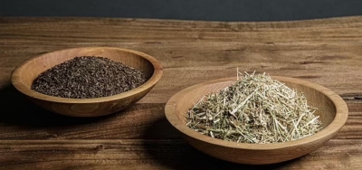 Μητέρα έκανε τον γιο της... λίπασμα για τις γλάστρες! Τι είναι η οικολογική «πράσινη ταφή»