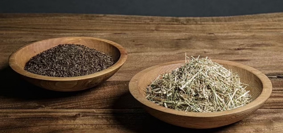 Μητέρα έκανε τον γιο της... λίπασμα για τις γλάστρες! Τι είναι η οικολογική «πράσινη ταφή»