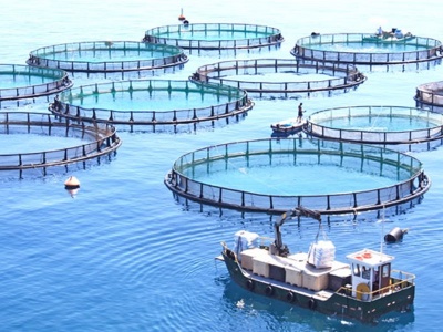 Περί πώλησης Νηρέα και Σελόντα από τράπεζες: Όπου ακούς πολλά κεράσια, κράτα και μικρό καλάθι