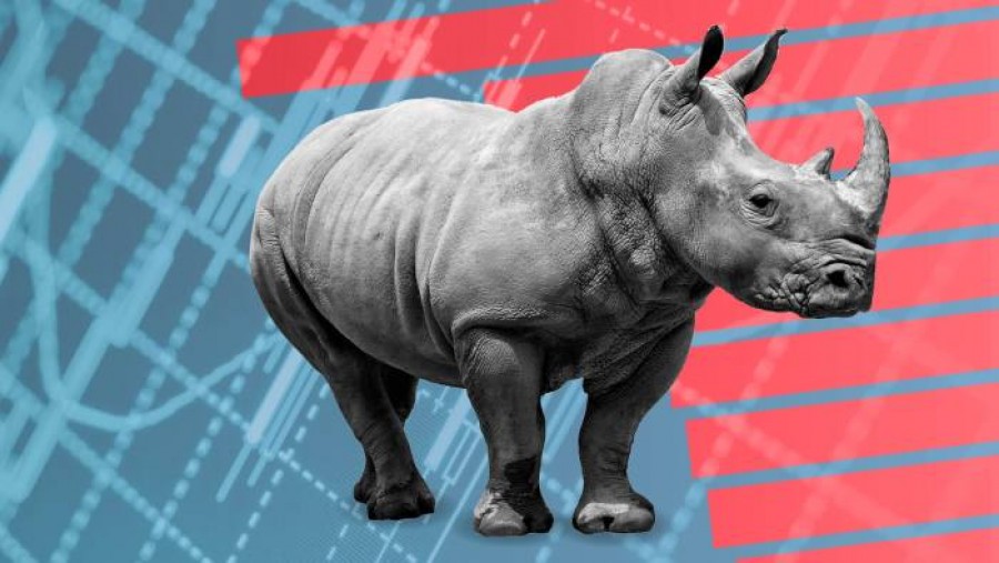 Το επενδυτικό rotation προς τις μετοχές αξίας, η πανδημία και ο... γκρι ρινόκερος