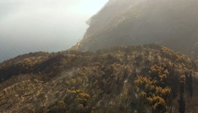 Κορινθία: Πριν και μετά την πυρκαγιά - Το αποτύπωμα μιας οικολογικής καταστροφής