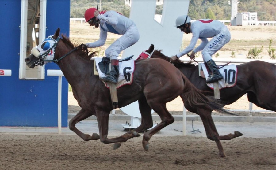 Οι κορυφαίες κούρσες της χρονιάς τη Δευτέρα στο Markopoulo Park
