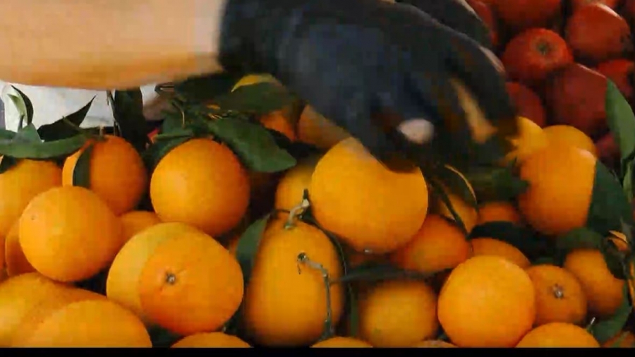 Έφαγαν 30 κιλά πορτοκάλια στο αεροδρόμιο σε μισή ώρα για να μην πληρώσουν υπέρβαρο