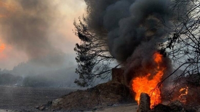 Σχεδόν 370 χιλιάδες στρέμματα καμένου δάσους και 1000 σπίτια η εθνική καταστροφή στην Βόρεια Εύβοια – Απέτυχε το κράτος