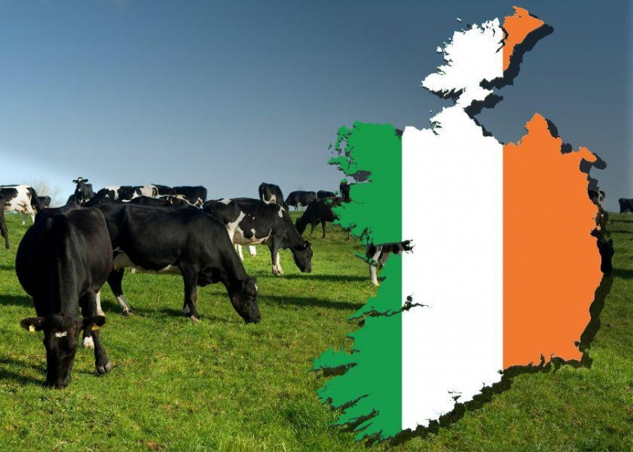 Ιρλανδία: Εξετάζει το ενδεχόμενο να θανατώσει 200.000 αγελάδες για να επιτύχει τους κλιματικούς στόχους της ΕΕ