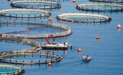 Η πώληση των Νηρέα και Σελόντα θα απαιτήσει σημαντικό διάστημα…