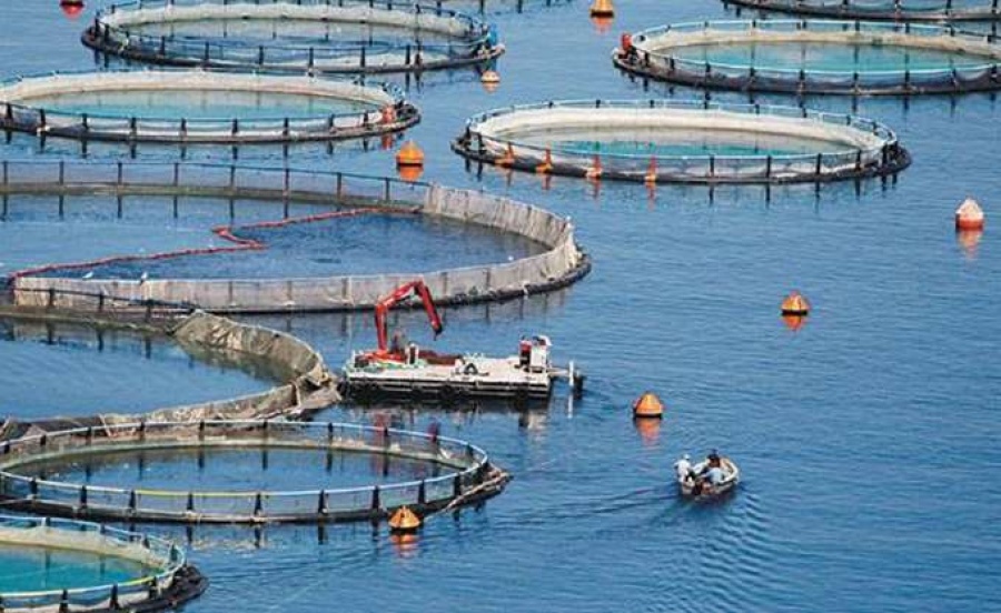 Η πώληση των Νηρέα και Σελόντα θα απαιτήσει σημαντικό διάστημα…