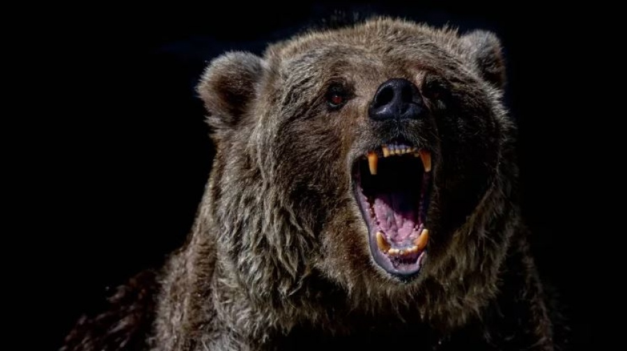 Σε ελεύθερη πτώση τα κρυπτονομίσματα – Bear market και πτώση κάτω από τις 50.000 δολ. για το Bitcoin «βλέπουν» οι traders