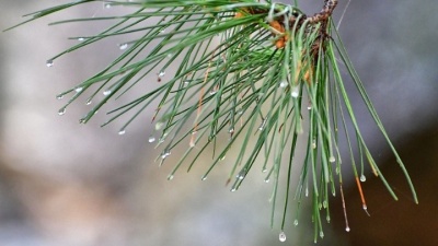 Έκτακτο δελτίο επιδείνωσης του καιρού, από την Πέμπτη 15/8