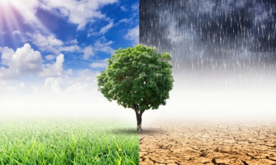 Ποιες ελληνικές εταιρίες βραβεύτηκαν για την περιβαλλοντική τους πολιτική