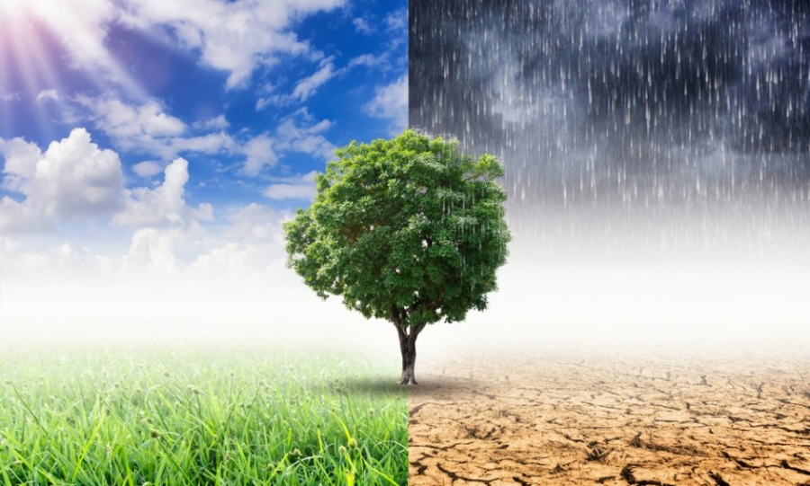 Ποιες ελληνικές εταιρίες βραβεύτηκαν για την περιβαλλοντική τους πολιτική