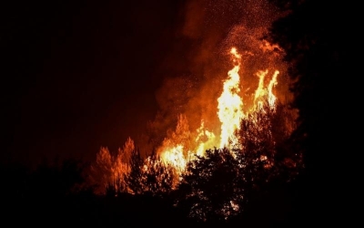 Συναγερμός στην Πυροσβεστική για πυρκαγιά στο Τρίλοφο Θεσσαλονίκης