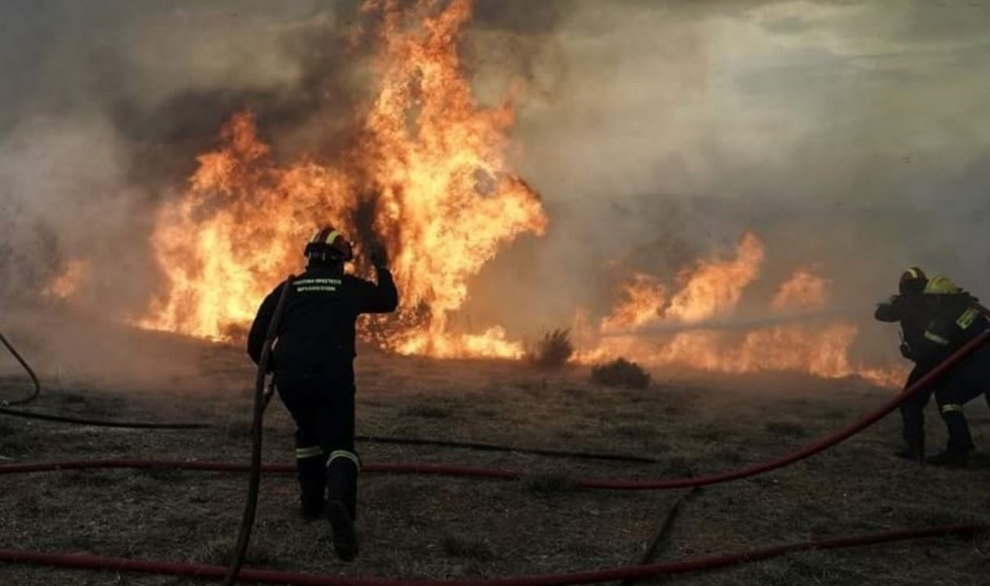Εύβοια - meteo: Κάηκε τo 1/3 των δασών από την πρόσφατη πυρκαγιά