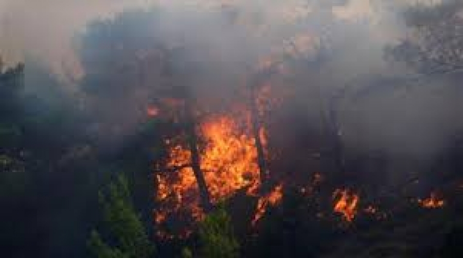 Μεγάλη δασική πυρκαγιά κοντά στον οικισμό Κορυφή Πύργου Ηλείας - Μήνυμα 112 προληπτικής εκκένωσης του χωριού