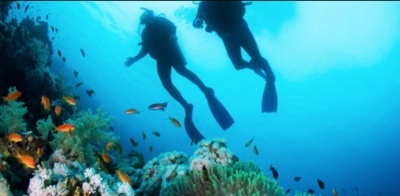 Ο καταδυτικός τουρισμός στους σημαντικότερους τρόπους ανάπτυξης του κλάδου