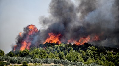 Πυροσβεστική: Στις 72 οι δασικές πυρκαγιές το τελευταίο 24ωρο
