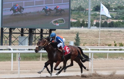 Markopoulo Park: Εντυπωσιακές κούρσες, μεγάλα κέρδη και ρεκόρ αγορών στις δημοπρασίες εξωτερικού