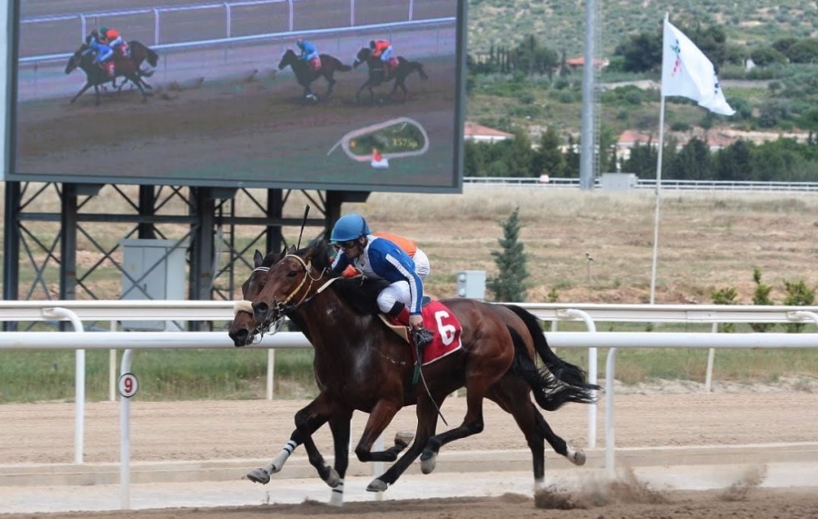 Markopoulo Park: Εντυπωσιακές κούρσες, μεγάλα κέρδη και ρεκόρ αγορών στις δημοπρασίες εξωτερικού
