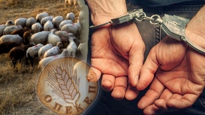 Αποκλειστικό ΒΝ: Αυτά είναι τα πρόσωπα που συνελήφθησαν στην Κρήτη για το κύκλωμα του ΟΠΕΚΕΠΕ