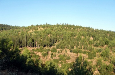 Θεσσαλονίκη: Απαγόρευση κυκλοφορίας μέχρι την Τρίτη (13/8) στο δάσος Σειχ Σου, λόγω κινδύνου πυρκαγιάς