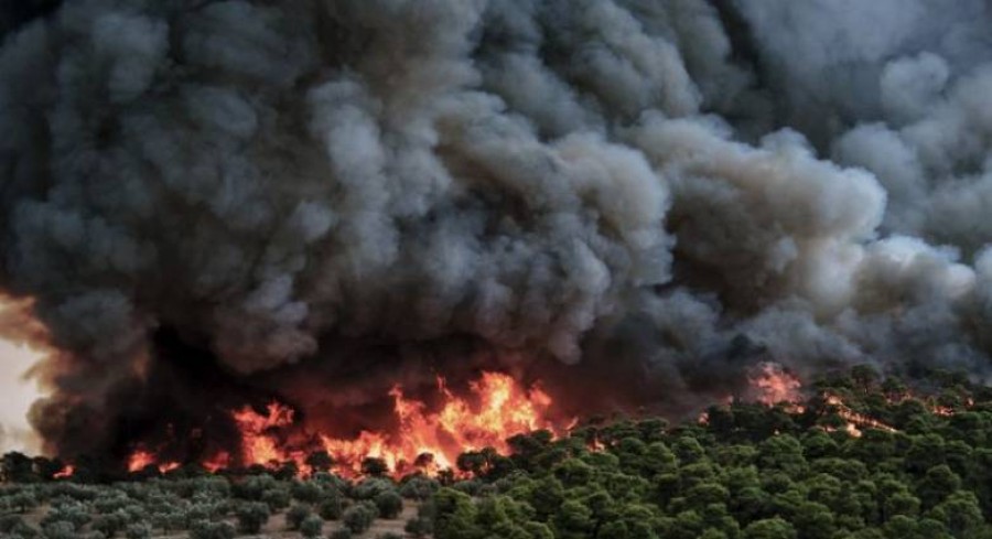 Οριοθετήθηκε η πυρκαγιά στον Ξερόκαμπο Μεσσηνίας - Ισχυρές δυνάμεις της Πυροσβεστικής στην περιοχή